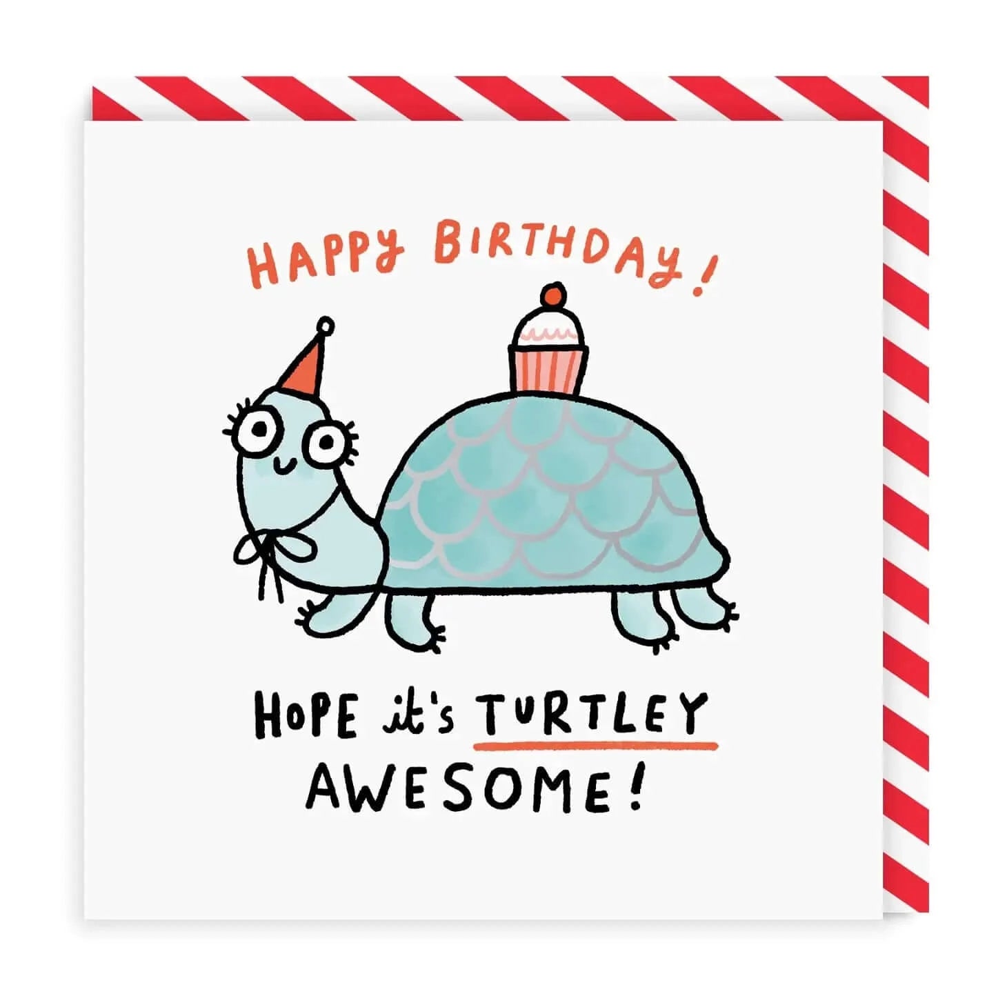 Gemma Correll Hope It's Turtley Awesome! Funny Birthday Card Birthday Cards Gemma Correll
